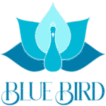 Home blue bird